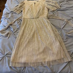 Never worn Adrianna Pappell dress